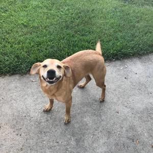 Meet your Posher, Kathyandchad